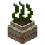 Seaweed Planter