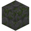 Rounded Mossy Stone Bricks Bricks