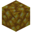 Block of Raw Gold
