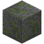 Weathered Mossy Stone Bricks