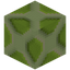 Zoea Variant 2