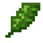 Kale