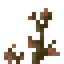 Dead Shrub