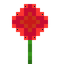 Petrunia