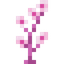 Blush Blossom
