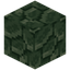 Toxite