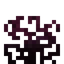 Dark Amaranth Roots