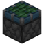 Sticky Piston