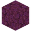 Glistering Wart