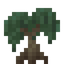 Willow Sapling