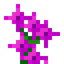 Tall Mystical Magenta Flower