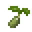 Cabbage Seed