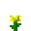 Alpha Dandelion