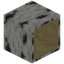 Hollow Birch Log