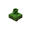 Floating Agricarnation