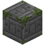 Sad Mossy Stone Bricks