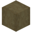 Stripped Birch Wood