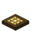 Golden Barred Spruce Trapdoor