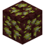 Nether Uranium Ore