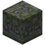 Runic Carved Mossy Stone Bricks