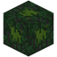 Swamp Homi