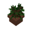 Oak Sapling Pot