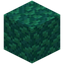 Sea Moss Block