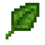 Basil