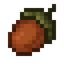 Acorn