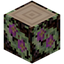 Night Fuchsia Log
