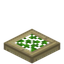 Overgrown Birch Trapdoor