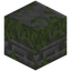 Fine Mossy Stone Bricks Pillar