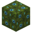 Blue Moss Block