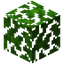 Jungle Leaves