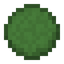 Giant Lily Pad