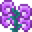 Magebloom