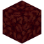 Rough Nether Wart Block