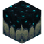Sculk Catalyst