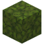 Crunchy Moss Block