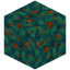 Semi Spongy Warped Wart Block