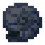 Nautilus Shell