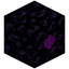 Obsidian Nest
