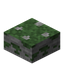 Mossy Stone Slab