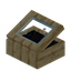 Black Palm Display Case