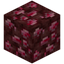 Nether Ruby Ore