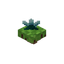 Floating Vinculotus
