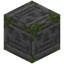 Unamused Mossy Stone Bricks