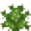 Prickly Pear Cactus