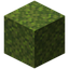 Moss Block