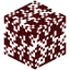 Red Spruce Leaves